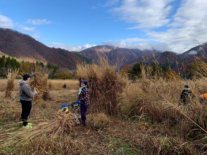 Thatching Materials